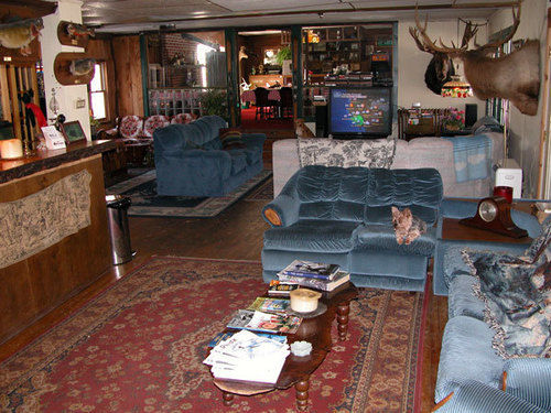 Colonial Inn Pine Hill Dış mekan fotoğraf